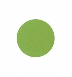 Remise 😀 Fard à Paupières Mat (diam. 30mm) Vert Clair Parisax 🌟