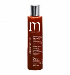 Top 10 🎉 Shampooing Repigmentant Colorant Sienne Brûlée Patrice Mulato 200ml 😀